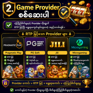 2. Game Provider